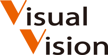 Visual Vision
